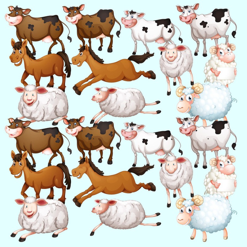 Fotoinet uji kecermatan mata dan otak