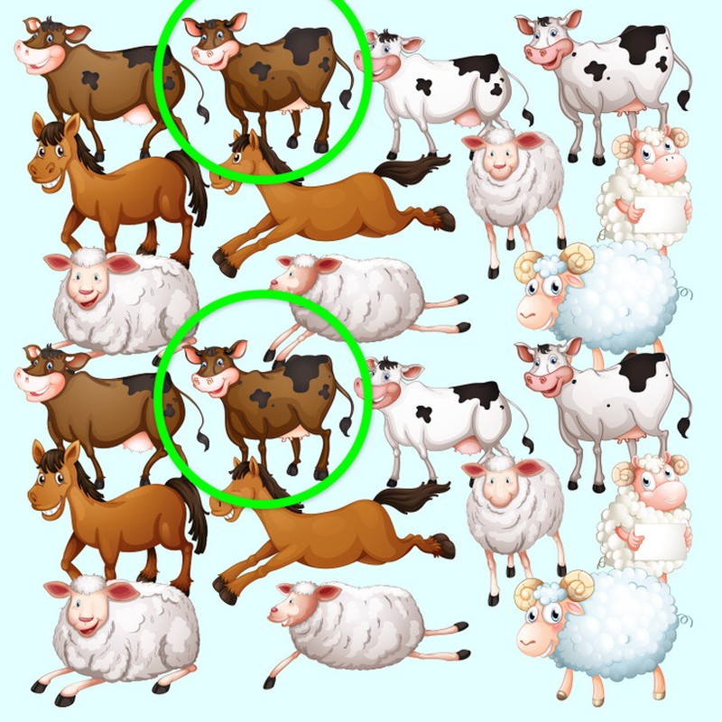 Fotoinet uji kecermatan mata dan otak