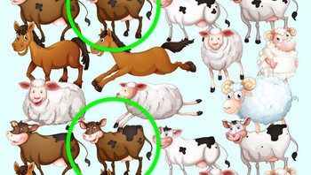 Ini dia jawabannya. Foto: Brightside