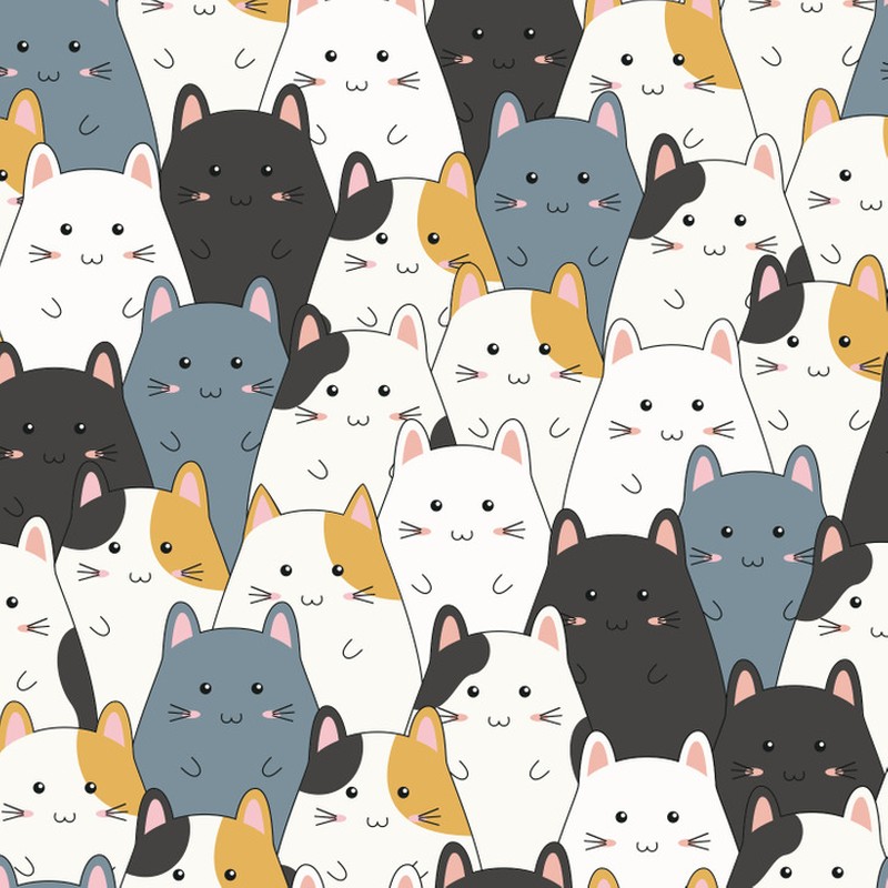 Fotoinet uji kecermatan mata dan otak