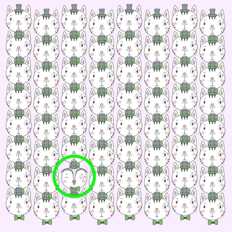 Fotoinet uji kecermatan mata dan otak