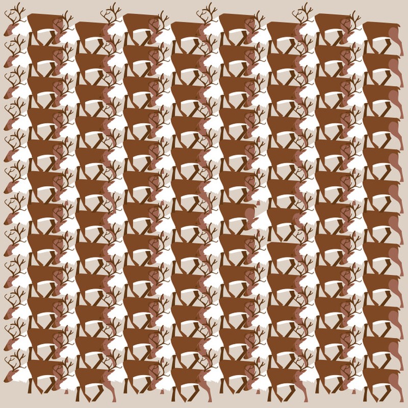 Fotoinet uji kecermatan mata dan otak