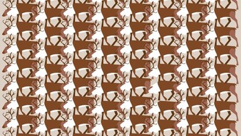 Bisa temukan di mana rusa yang tidak memiliki tanduk? Foto: Brightside