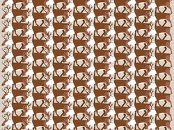 Yuk Asah Konsentrasi Kamu dengan Temukan Objek Tersembunyi