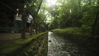 Sungai kecil yang mengalir semakin menambah keindahan lembah ini.
