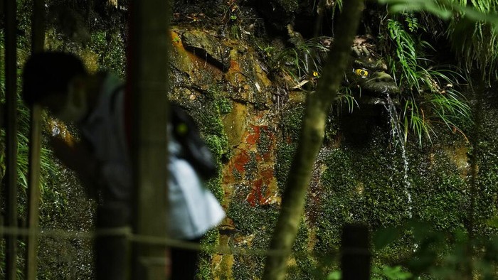 A woman prays at an alter placed near waterfalls, one of which is seen with a dragon god decoration, center right, near a Shinto shrine adjacent to the Todoroki Valley park in Tokyo, Tuesday, June 21, 2022. (AP Photo/Hiro Komae)