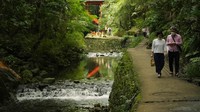 Menelusuri Taman Lembah Todoroki Jepang yang Asri Banget