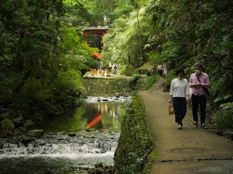 Menelusuri Taman Lembah Todoroki Jepang yang Asri Banget