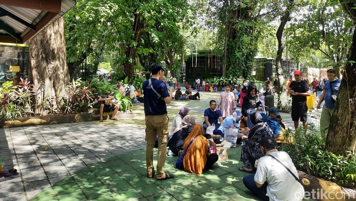 kebun binatang surabaya