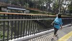 Meski Ditutup, Warga Masih Mendatangi Tebet Eco Park Lho