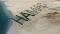 1. Syekh Hamad Bin Hamdan Al NahyanOrang kaya Uni Emirat Arab ini pernah mengeluarkan uang hanya untuk mengukir namanya sangat dalam di pasir pantai. Tujuannya hanya agar terlihat dari langit. Foto: Urban Peak via Scoopwhoop