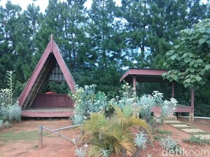 Suguhkan Udara Khas Pedesaan, Vila di Mamasa Ini Punya Banyak Spot Romantis