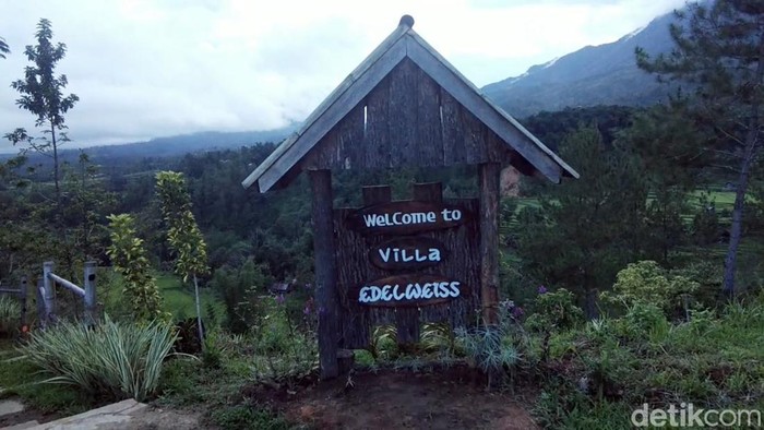 Villa Edelweiss merupakan salah satu tempat wisata alam di Kabupaten Mamasa, Sulawesi Barat (Sulbar).