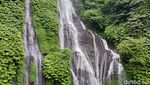 Foto: Yang Segar-segar di Bali, Air Terjun Kembar Banyumala