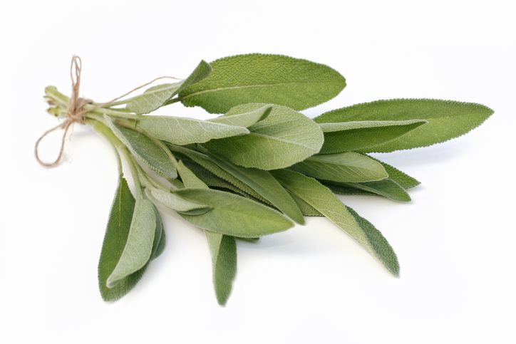 Daun rempah yang bisa membuat makanan lebih enak dan sehat