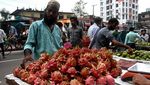 Eksotis Budi Daya Buah Naga di Perbukitan Bangladesh
