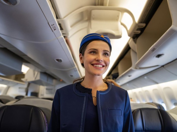 Ilustrasi pramugari