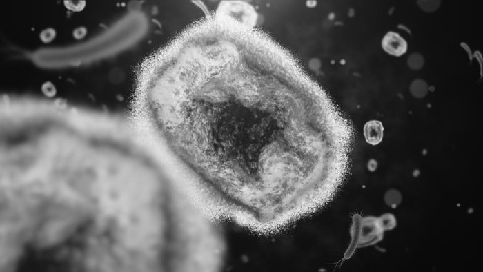 Ilustrasi Virus Cacar Monyet Monkeypox virus