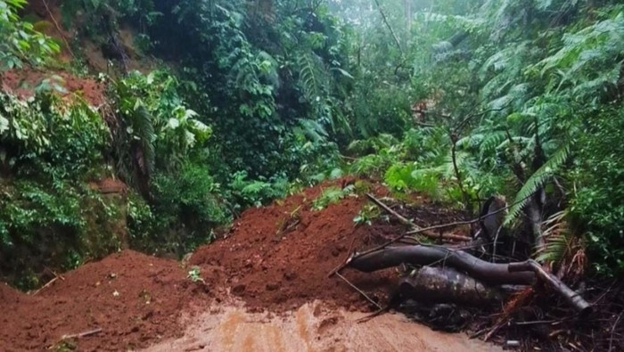 Jalur Gunung Ijen Tertutup Longsor usai Hujan Semalam