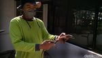 Kabar Baik! Kebun Binatang Surabaya Tambah Koleksi 29 Bayi Komodo