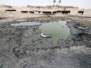 Parahnya Krisis Air di Irak, Warga Ngaku Rela Dipindah ke Ukraina!