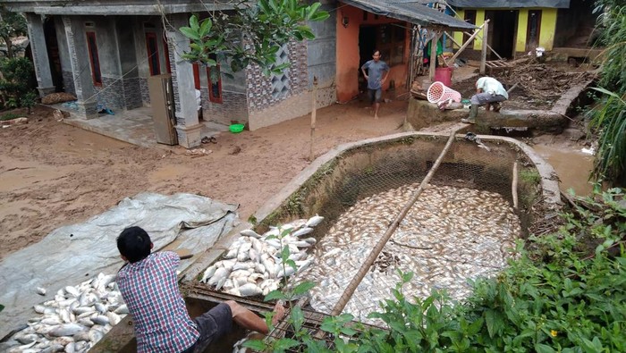 Kolam ikan warga rusak-gagal panen akibat banjir bandang di Pamijahan, Kabupaten Bogor.