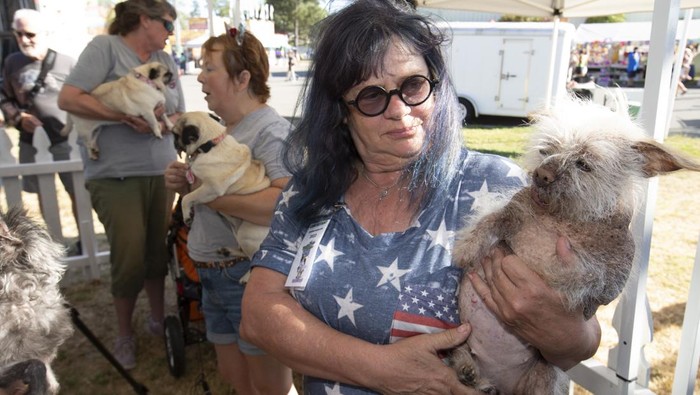 Kontes anjing terjelek digelar di Petaluma, California, Amerika Serikat. Seekor anjing bernama Mr. Happy Face didaulat menjadi pemenang kompetisi ini.