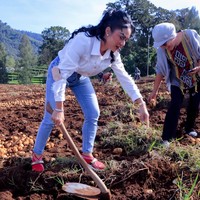 Sambil memegang cangkul, Krisdayanti tampak begitu bersemangat memanen kentang. Ia pun tak takut jika harus kotor-kotoran. Foto: dok. Instagram/@krisdayantilemos