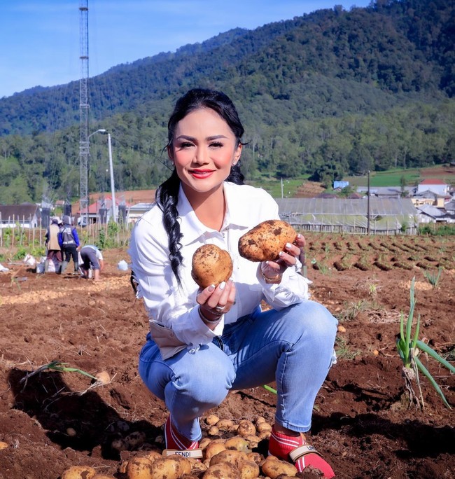 Tak lupa Diva Tanah Air itu memerkan hasil panennya. Dengan rambut yang dikeriting dan diikat setengah serta pulasan makeup di wajahnya, Krisdayanti tampak begitu menikmati momen tersebut. Foto: dok. Instagram/@krisdayantilemos