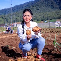 Tak lupa Diva Tanah Air itu memerkan hasil panennya. Dengan rambut yang dikeriting dan diikat setengah serta pulasan makeup di wajahnya, Krisdayanti tampak begitu menikmati momen tersebut. Foto: dok. Instagram/@krisdayantilemos