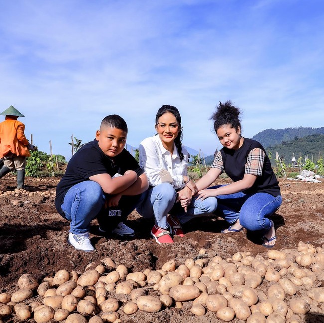 Melalui akun Instagram pribadinya, beberapa waktu lalu Krisdayanti tampak membagikan keseruannya bersama Amora, Kellen, dan para petani ketika memanen kentang. Walaupun harus kotor-kotoran menginjak tanah, namun ketiganya terlihat bahagia. Foto: dok. Instagram/@krisdayantilemos