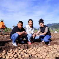 Melalui akun Instagram pribadinya, beberapa waktu lalu Krisdayanti tampak membagikan keseruannya bersama Amora, Kellen, dan para petani ketika memanen kentang. Walaupun harus kotor-kotoran menginjak tanah, namun ketiganya terlihat bahagia. Foto: dok. Instagram/@krisdayantilemos