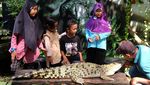 Libur Sekolah ke Taman Satwa Taru Jurug Solo, Seru Juga!