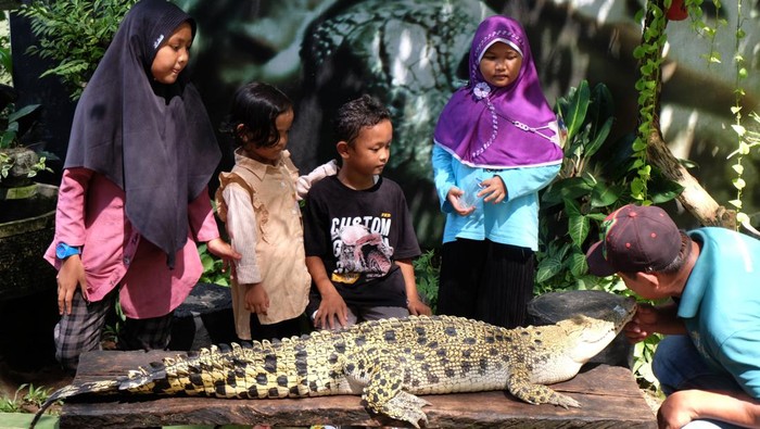 Taman Satwa Taru Jurug (TSTJ) Solo menarik untuk dikunjungi saat libur sekolah. Kebun binatang itu memiliki beragam satwa, mulai dari unta hingga burung pelikan