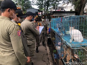 Viral Petisi Selamatkan Kucing Tersiksa, Satpol PP Datangi Pasar Splendid