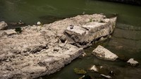 Diketahui, Sungai Tiber mengering karena intensitas hujan yang berkurang di wilayah Roma, Italia.  