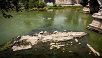 Sebuah perahu melintas di dekat reruntuhan jembatan kuno yang muncul kembali saat Sungai Tiber di Roma, Italia, mengering.