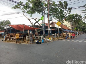 Penjual Kurban Bermunculan di Trotoar Johar Baru, Ini Penjelasan Lurah