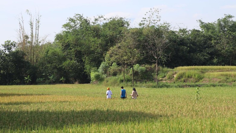 Perhutana Lokasi Perhutana