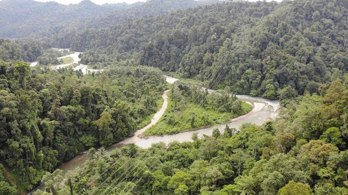 Sungai Sausu lokasi  Komandan Tim Brimob Brigpol Anumerta Janwar ditemukan gugur usai kejar teroris (Dok. Istimewa).