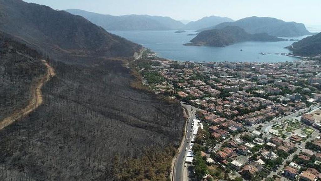 Terbakar Berhari-hari, Hutan di Turki Menghitam hingga Tandus