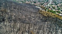 Dilaporkan kebakaran di daerah Dalaman, Fethiye, Koycegiz, dan Seydikemer telah dipadamkan. Omer Urer/Getty Images.