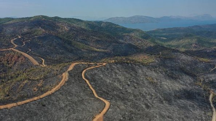 MUGLA, TURKIYE - JUNE 26: An aerial view of burnt fields after wildfires broke out in different places in the forest brought under control as cooling works continue in southern Turkiye, Marmaris district of Mugla province on June 26, 2022. Wildfires raged for several days, damaged 4,500 hectares of forest area. (Photo by Ali Balli/Anadolu Agency via Getty Images)