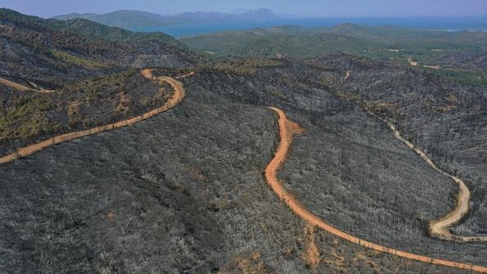 Tandus Hutan di Turki Usai Terbakar Hebat MUGLA, TURKIYE - JUNE 26: An aerial view of burnt fields after wildfires broke out in different places in the forest brought under control as cooling works continue in southern Turkiye, Marmaris district of Mugla province on June 26, 2022. Wildfires raged for several days, damaged 4,500 hectares of forest area. (Photo by Ali Balli/Anadolu Agency via Getty Images)