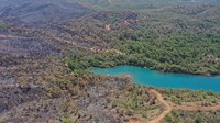 Dilansir dari Anadolu Agency, Presiden Turki Recep Tayyip Erdogan mengatakan kebakaran hutan yang telah melanda selama tiga hari di provinsi Mugla kini sebagian besar sudah dapat dikendalikan. Ali Balli/Getty Images.