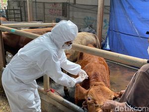 Pemprov Banten Butuh 73 Ribu Dosis Vaksin PMK