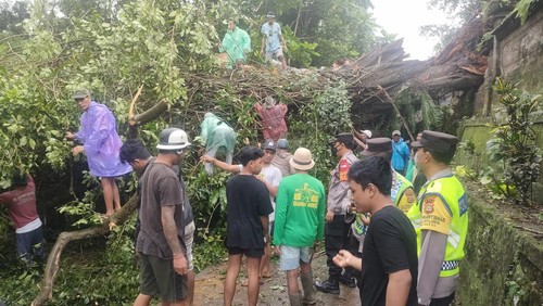 Warga  membersihkan dahan beringin kembar berusia sekitar 200 tahun yang patah dan menimpa tembok Pura Puseh Desa Adat Pagi, Senin (27/6/2022).