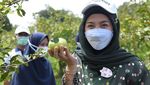 10 Potret Awet Muda Desy Ratnasari Saat Cicip Awug dan Seafood