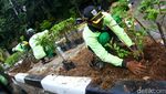 Aksi Pasukan Hijau Mempercantik Jalanan Jakarta