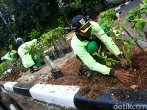 Aksi Pasukan Hijau Mempercantik Jalanan Jakarta
